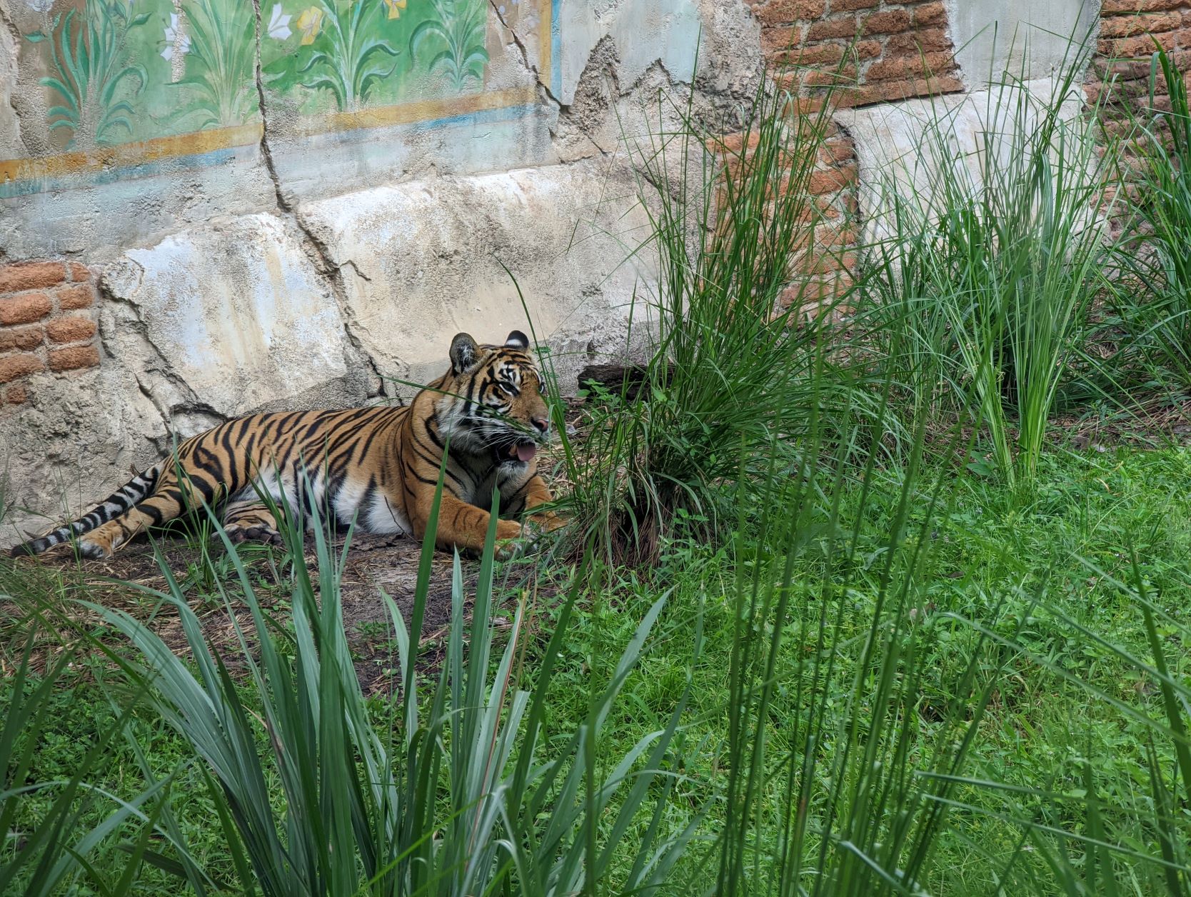 Walt Disney World – Animal Kingdom, August 16-25, 2022