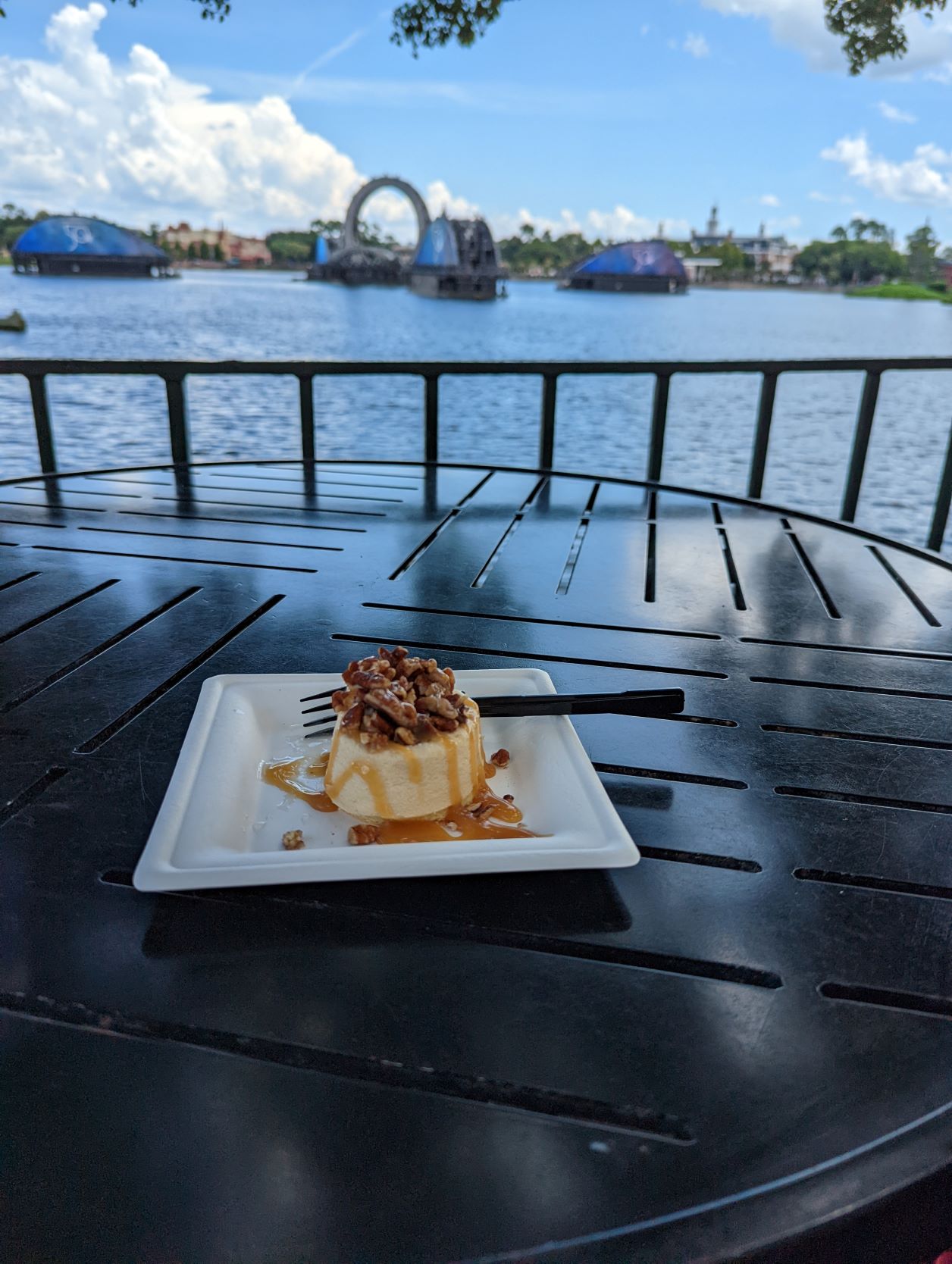 Walt Disney World – EPCOT, August 16-25, 2022